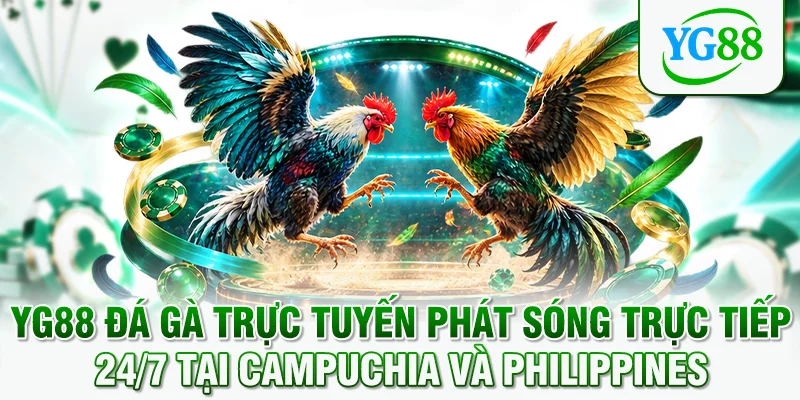 YG88 đá gà trực tuyến phát sóng trực tiếp 24/7 tại Campuchia và Philippines